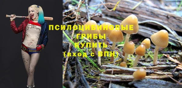 а пвп мука Верхний Тагил