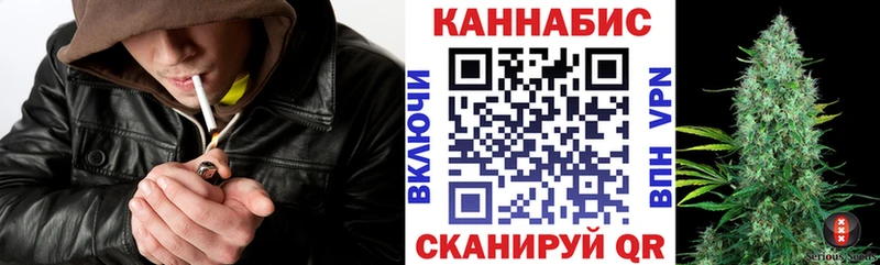 где можно купить   KRAKEN ССЫЛКА  МАРИХУАНА гибрид  Новоржев 